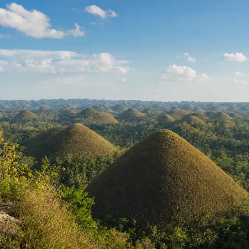 Bohol Chocolate Hills & Loboc River Journey — photo 3