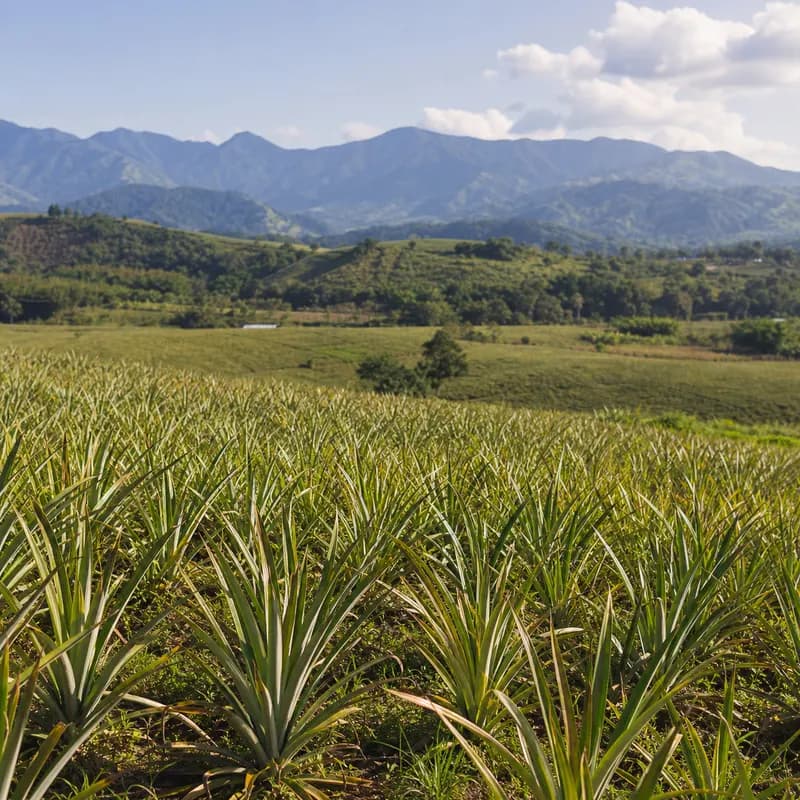 Bukidnon Highlands Adventure — photo 2
