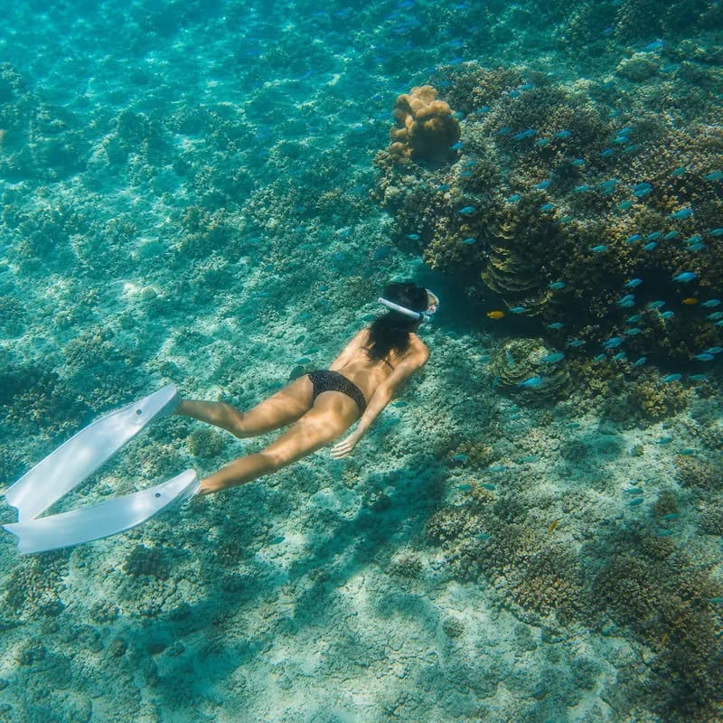 Davao Samal Island & Highlands Escape — photo 2