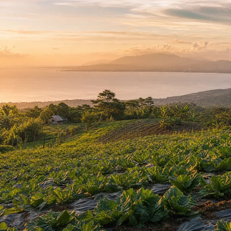 Davao Samal Island & Highlands Escape — photo 4