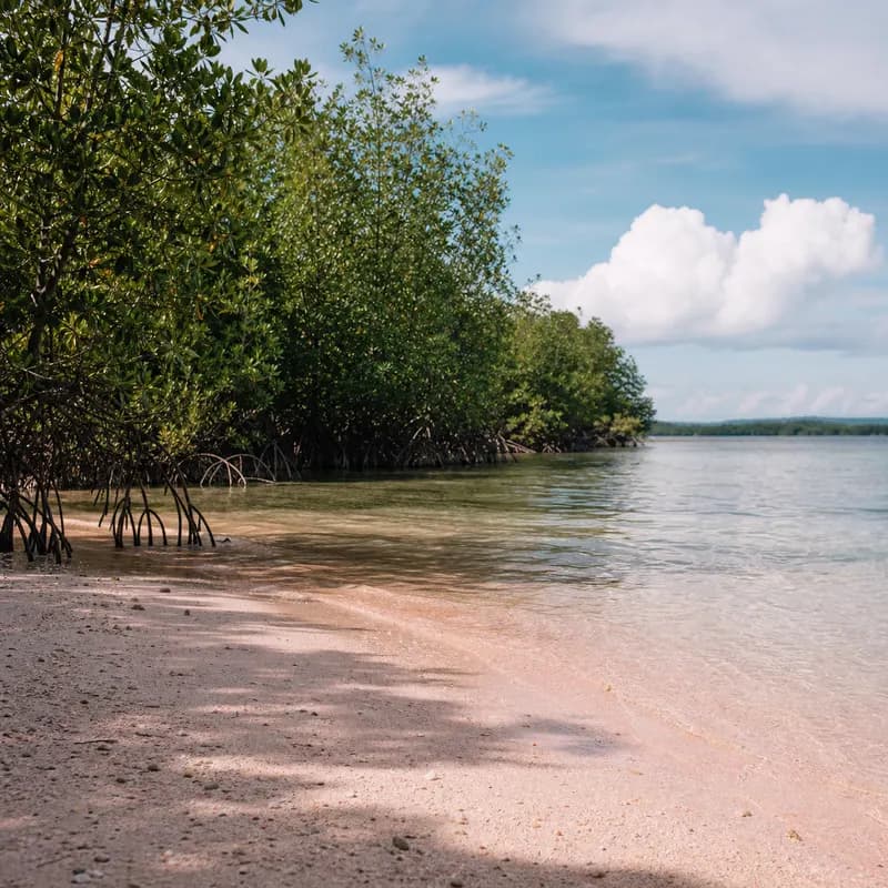 Zamboanga Pink Beach & Vinta Voyage — photo 3