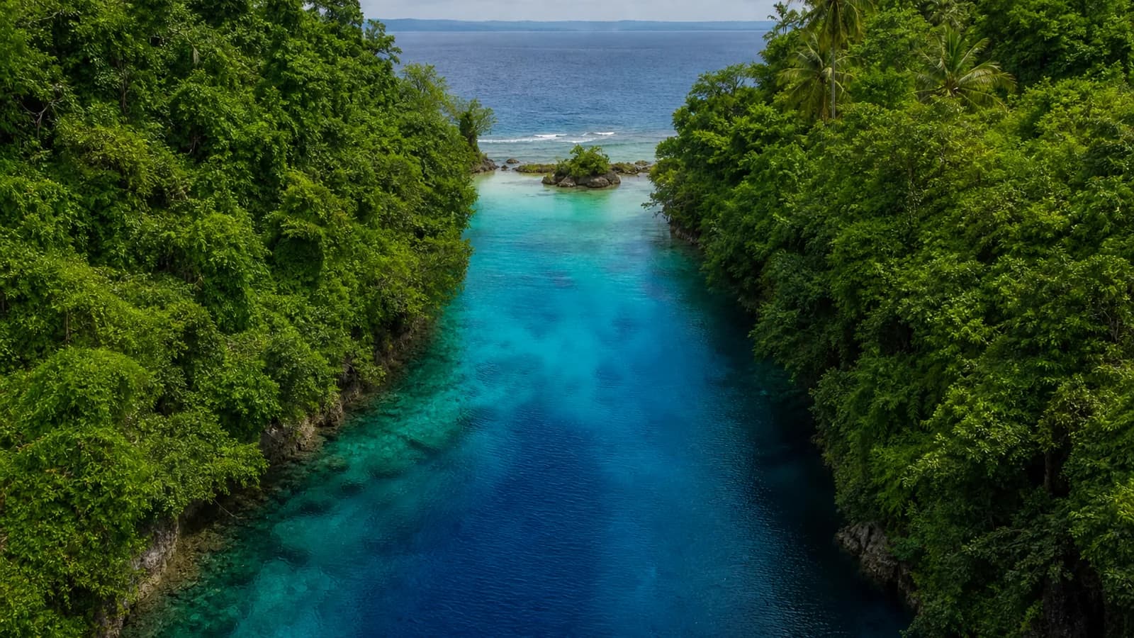 Surigao del Sur