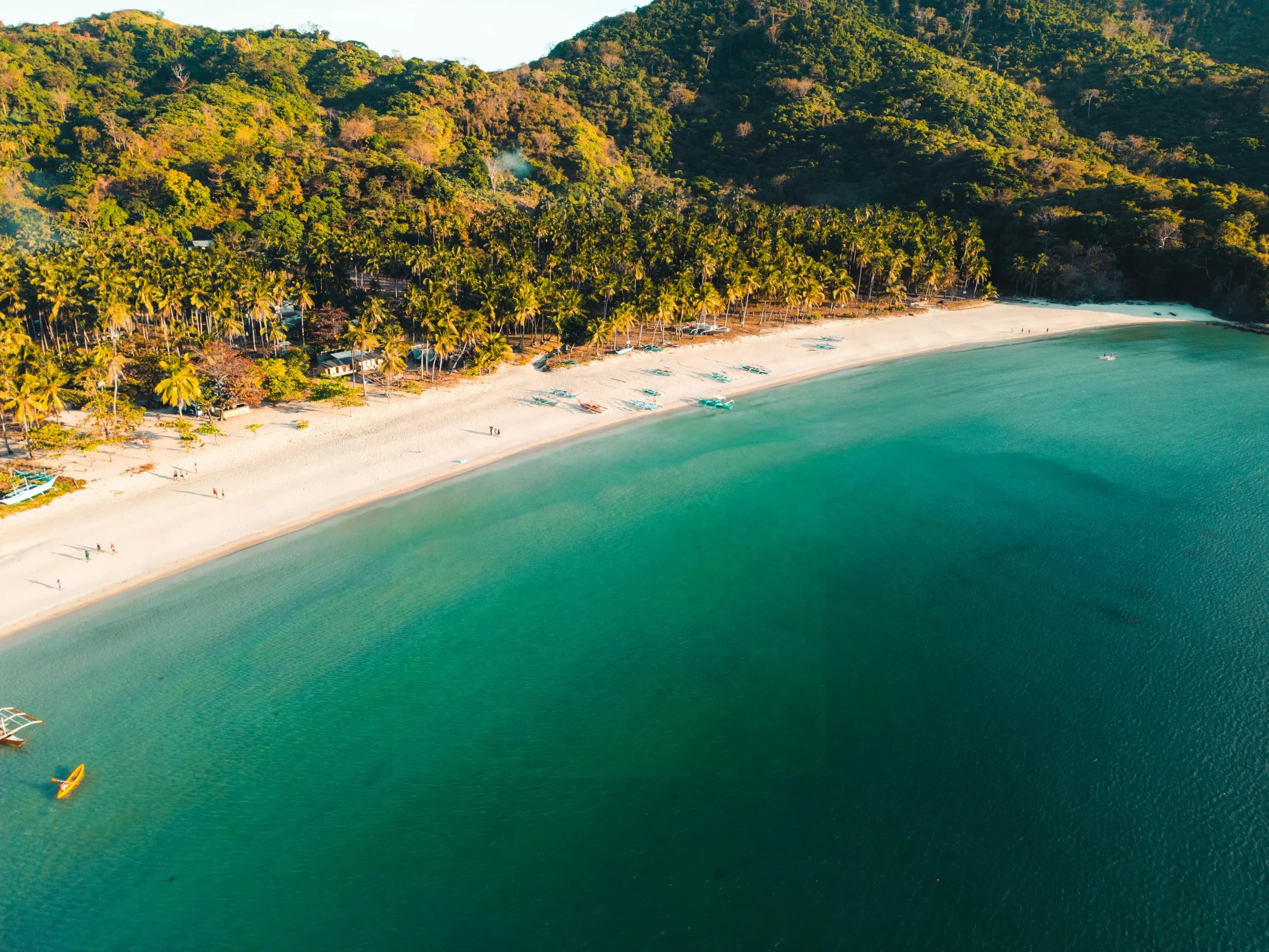 Aerial view of a beach and outrigger boats in the Philippines